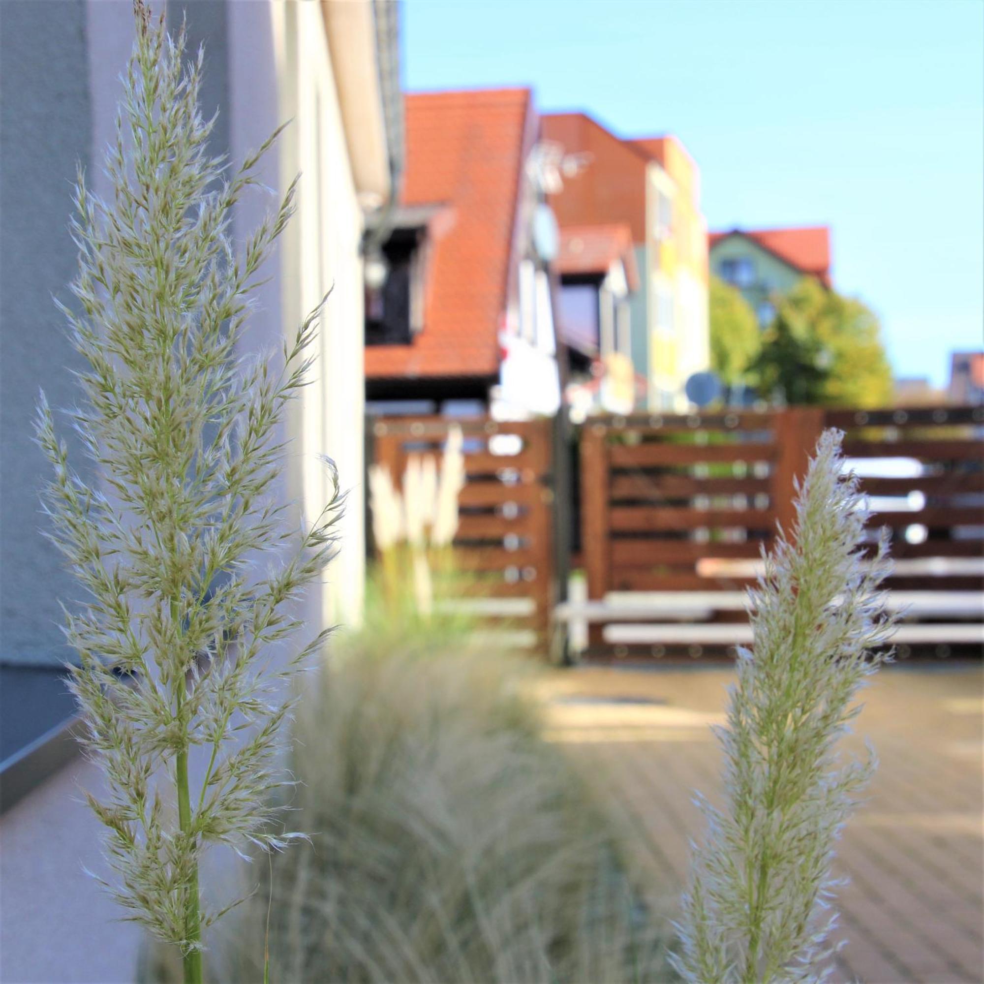 Royal Maris 3 Apartments: Prime Location * Ustka